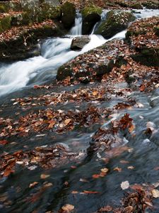 Превью обои река, водопад, камни, листья, осень, природа