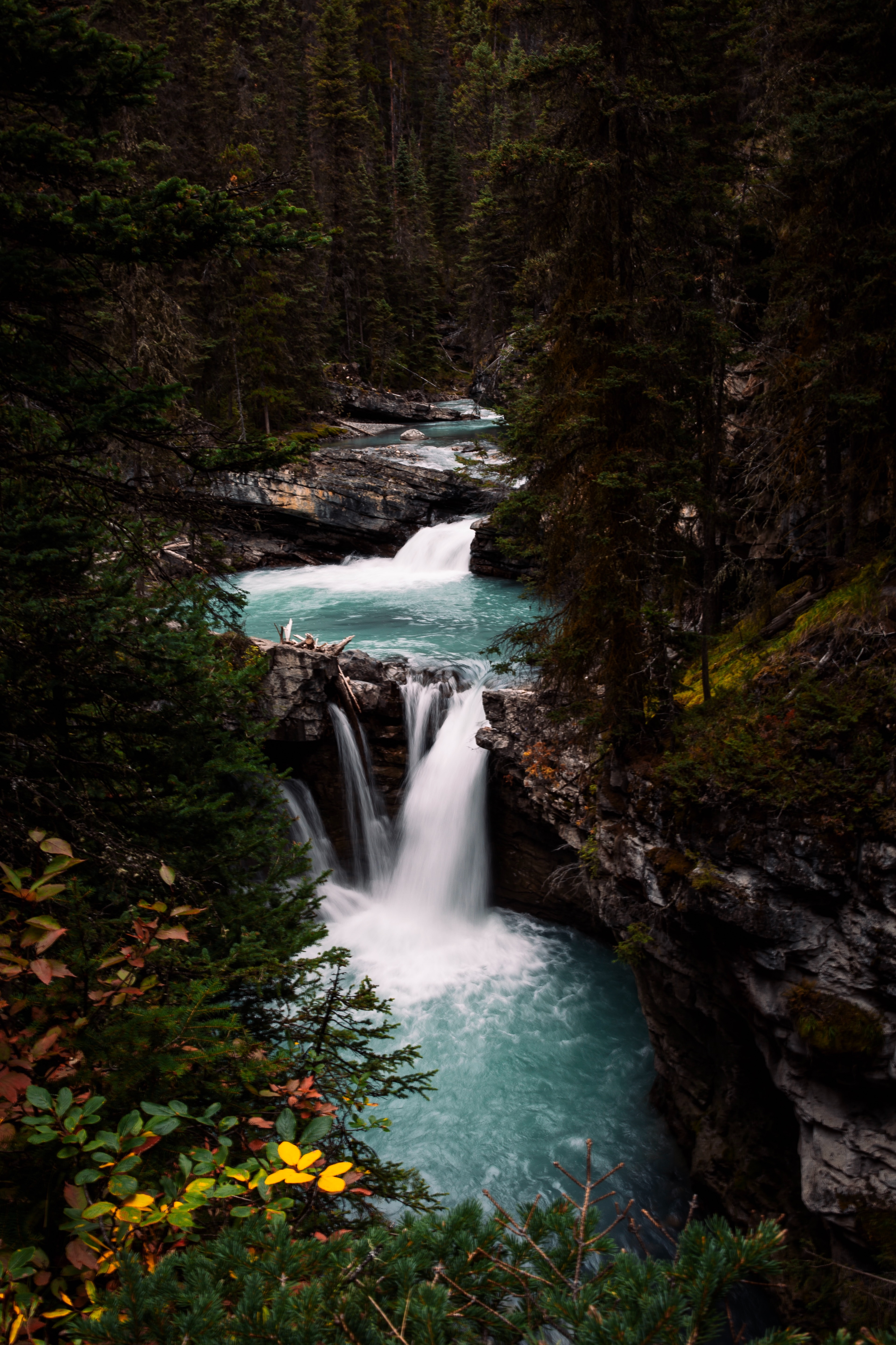 Видео на телефон природа. Водопад в лесу. Красивые водопады. Горная река водопад. Лесной водопад.