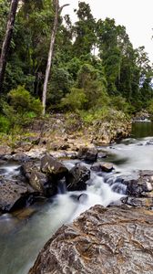 Превью обои река, водопад, лес, деревья, природа, пейзаж