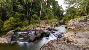 Превью обои река, водопад, лес, деревья, природа, пейзаж