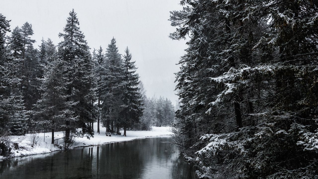 Обои река, зима, деревья, снег