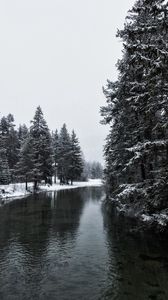 Превью обои река, зима, деревья, снег