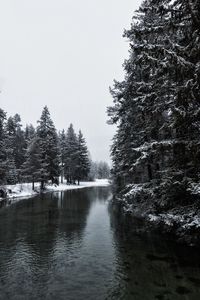 Превью обои река, зима, деревья, снег