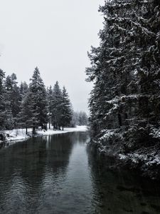 Превью обои река, зима, деревья, снег