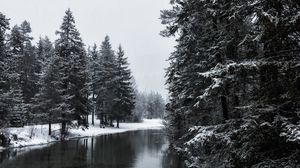 Превью обои река, зима, деревья, снег