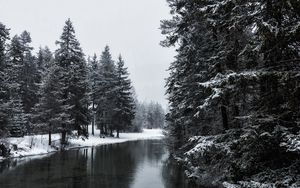 Превью обои река, зима, деревья, снег