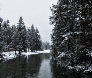 Превью обои река, зима, деревья, снег