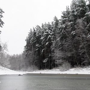 Превью обои река, зима, деревья, лед, снег, чб