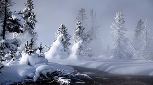Превью обои река, зима, снег, деревья, корни, пар, туман