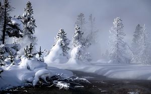 Превью обои река, зима, снег, деревья, корни, пар, туман