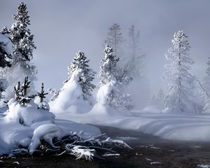 Превью обои река, зима, снег, деревья, корни, пар, туман