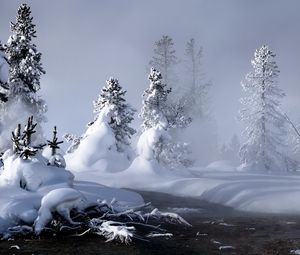 Превью обои река, зима, снег, деревья, корни, пар, туман