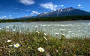 Превью обои реки канада, парки, пейзаж, ромашки, горы, vermilion kootenay, природа