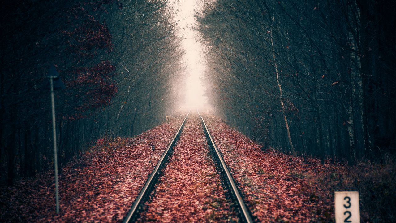 Обои рельсы, лес, железная дорога, осень, листва, даль