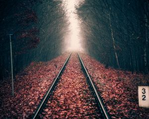 Превью обои рельсы, лес, железная дорога, осень, листва, даль