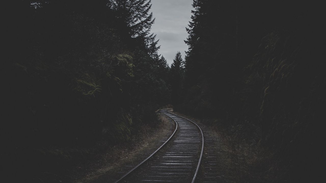 Обои рельсы, железная дорога, темный, деревья, сумерки