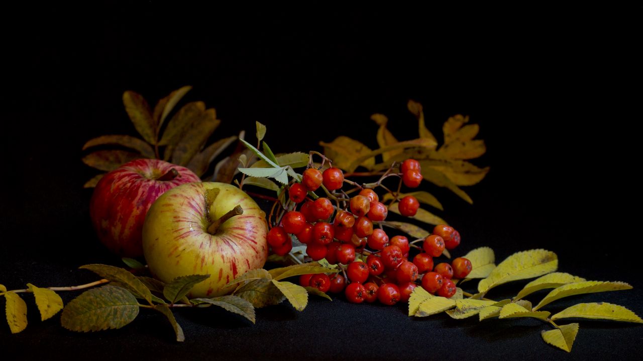 Обои рябина, яблоки, натюрморт, листья