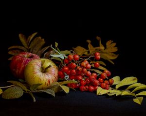 Превью обои рябина, яблоки, натюрморт, листья