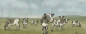 Превью обои рисунок, коровы, молоко, луг