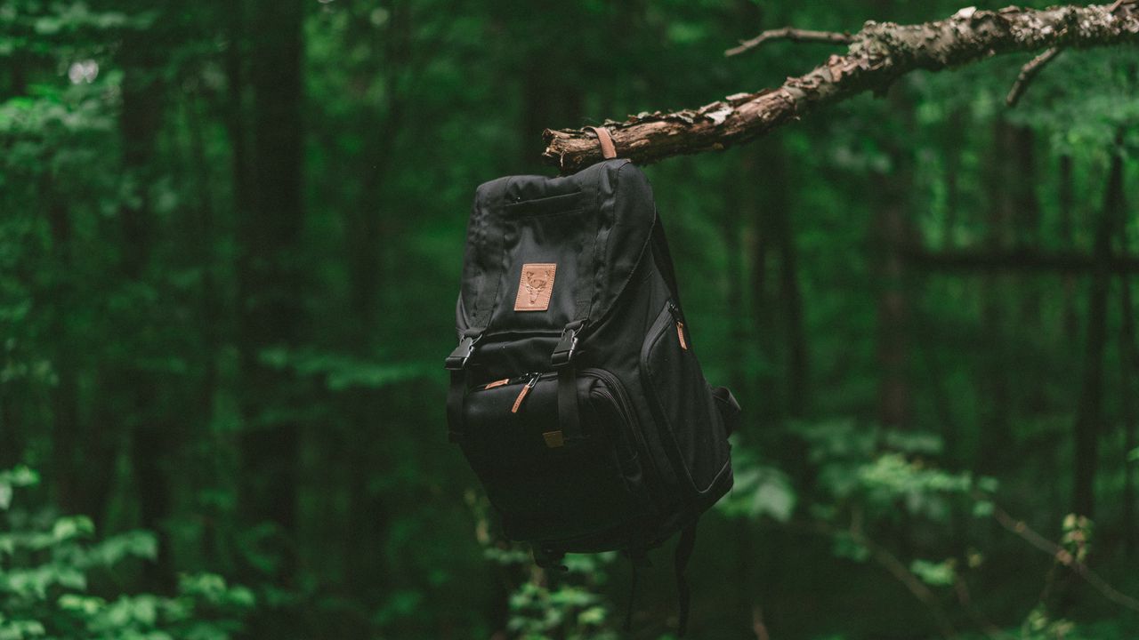 Обои рюкзак, ветка, лес, путешествие