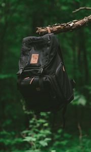 Превью обои рюкзак, ветка, лес, путешествие