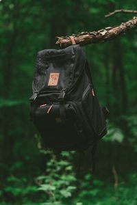 Превью обои рюкзак, ветка, лес, путешествие
