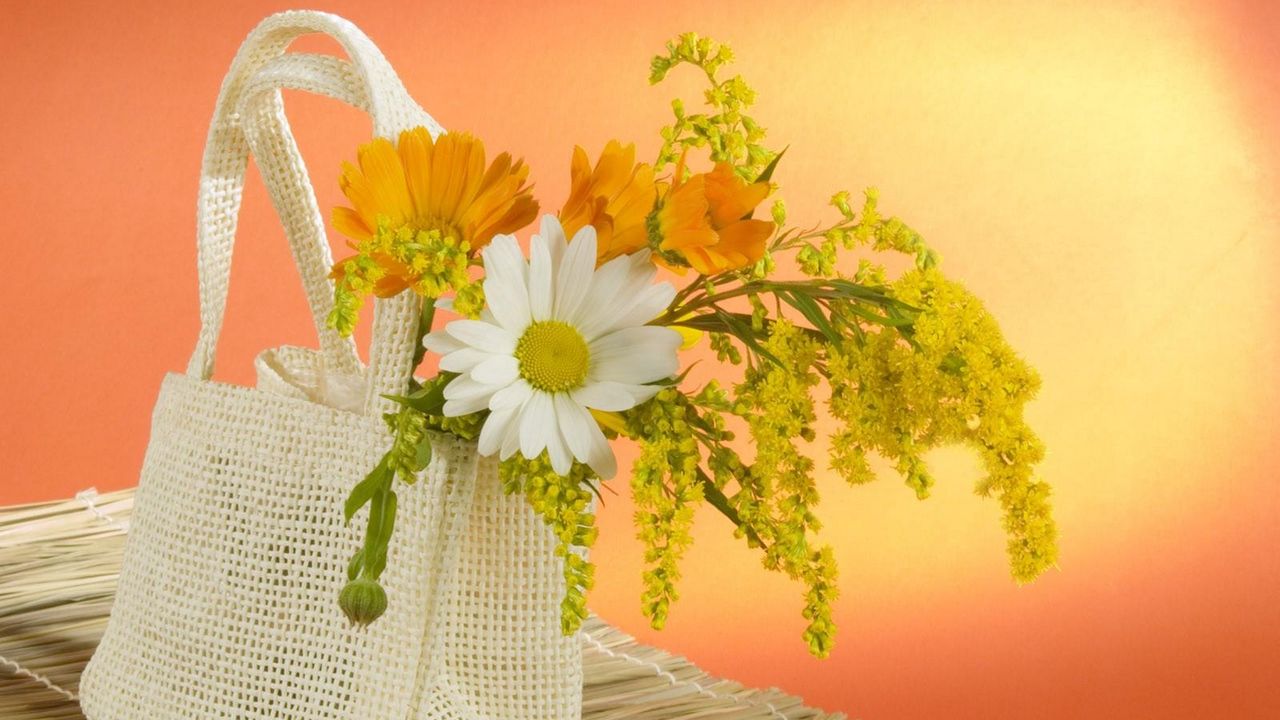 Обои ромашка, цветы, полевые, сумка