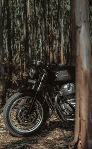 Превью обои royal enfield, мотоцикл, байк, черный, лес