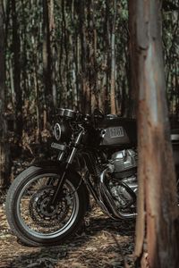 Превью обои royal enfield, мотоцикл, байк, черный, лес