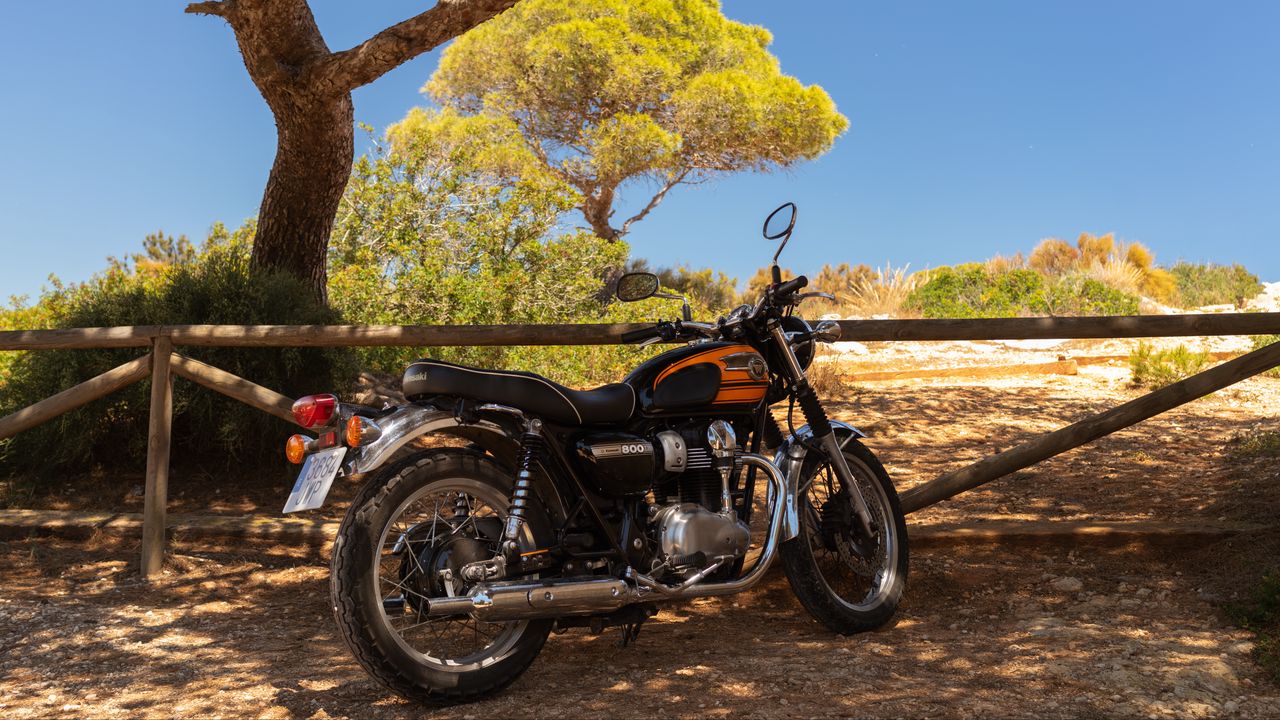 Обои royal enfield, мотоцикл, оранжевый, дерево, тени