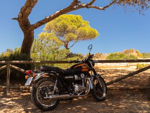 Превью обои royal enfield, мотоцикл, оранжевый, дерево, тени