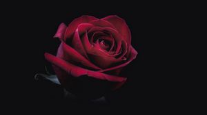 Превью обои роза, бутон, красный, темный, крупным планом