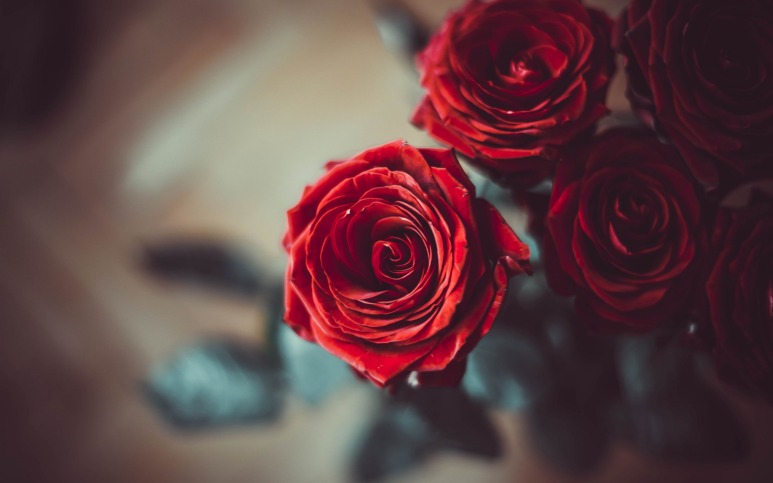 красные розы на столе картинки