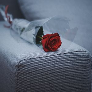 Превью обои роза, диван, мебель