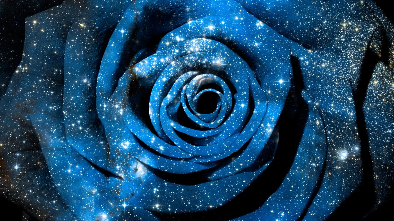Обои роза, космический, звезды, фотошоп, сияние, блеск