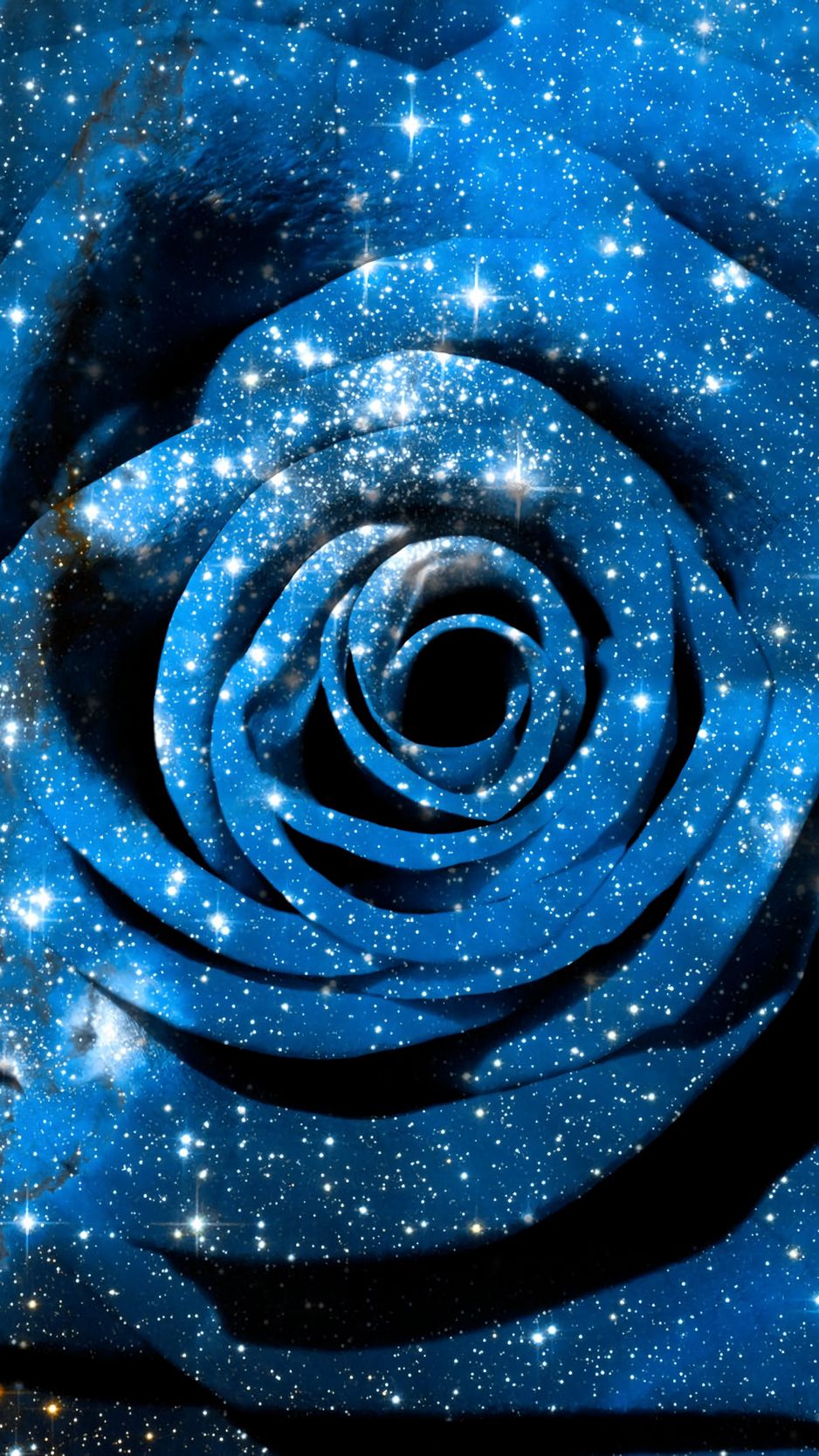 Цветы розы космос вертикальное