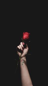 Превью обои роза, красный, рука, татуировка