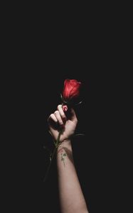 Превью обои роза, красный, рука, татуировка