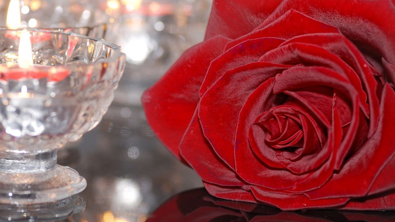 Обои роза, подсвечник, свеча, стекло, бордовая, цветок