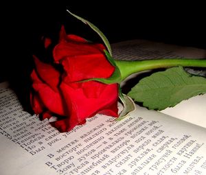 Превью обои роза, цветок, бутон, книга, текст