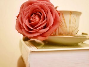 Превью обои роза, цветок, бутон, чашка, книга