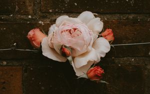 Превью обои роза, цветок, бутоны, розовый, цветение, стена, кирпичный