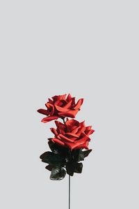 Превью обои роза, цветок, искусственный, минимализм