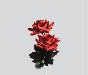 Превью обои роза, цветок, искусственный, минимализм