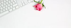 Превью обои роза, цветок, клавиатура, розовый, белый, минимализм