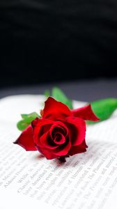 Превью обои роза, цветок, книга, красный