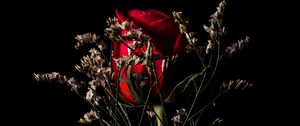 Превью обои роза, цветок, красный, букет, темный