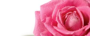 Превью обои роза, цветок, лепестки, капли, бутон, розовый