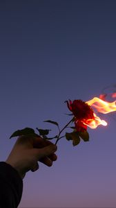 Превью обои роза, цветок, пламя, рука, огонь