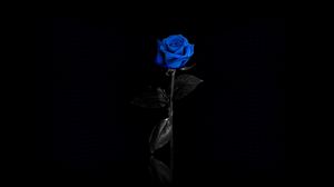 Превью обои роза, цветок, синяя, сетка, отражение